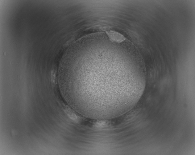 X0000073950177200608281224