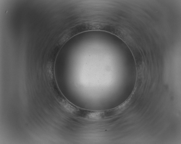 X0000073950178200608281224