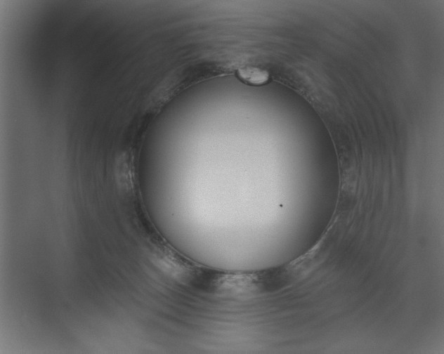 X0000073950179200608281224