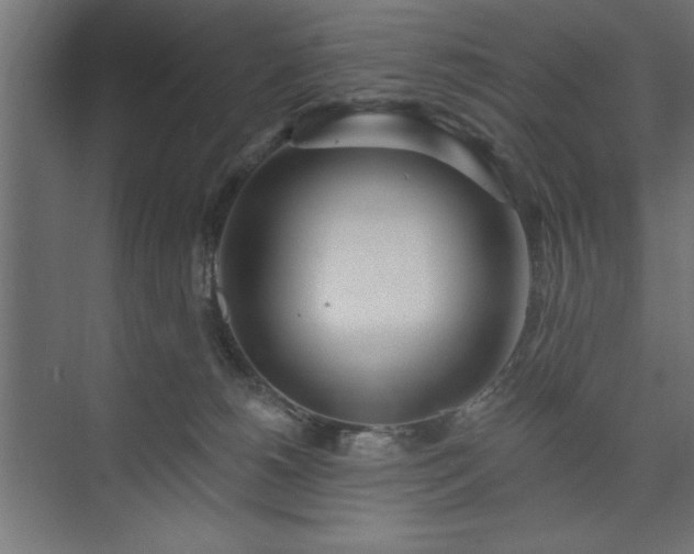 X0000073950180200608281224