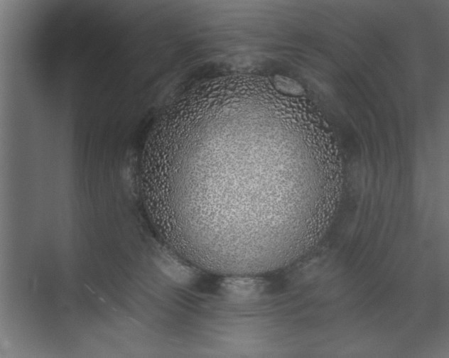 X0000073950181200608281224