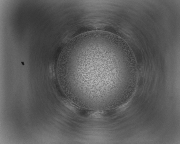 X0000073950182200608281225