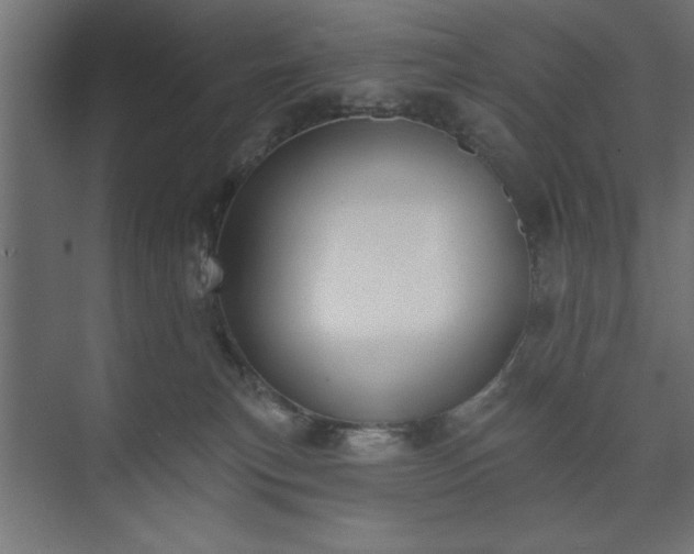 X0000073950183200608281225