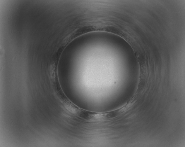 X0000073950184200608281225