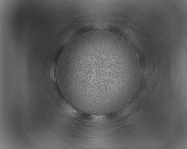 X0000073950185200608281225