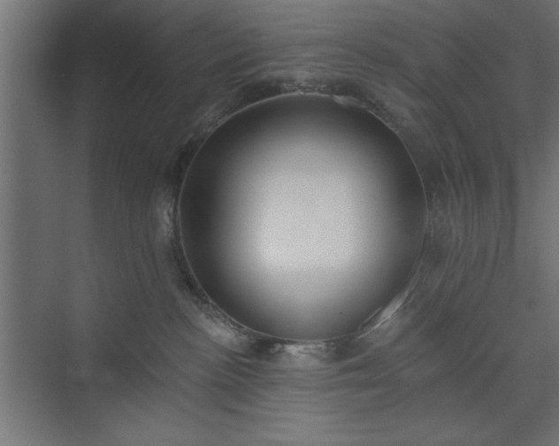 X0000073950188200608281225