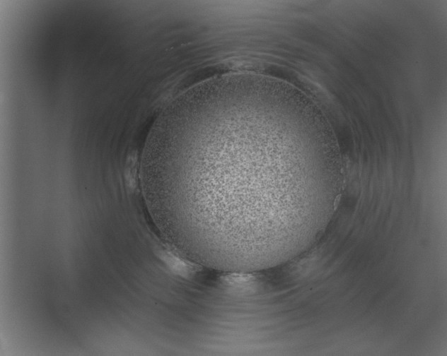 X0000073950189200608281225