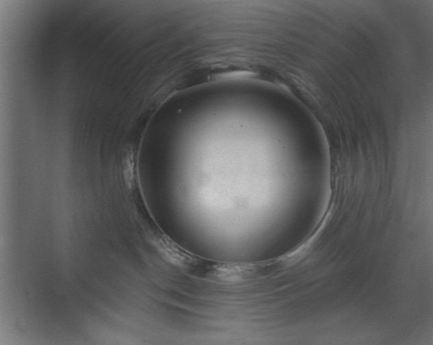 X0000073950190200608281225