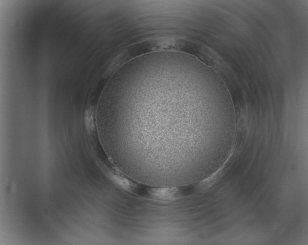 X0000073950191200608281225