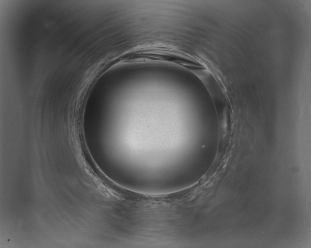 X0000073950193200608281224