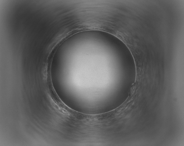 X0000073950194200608281224