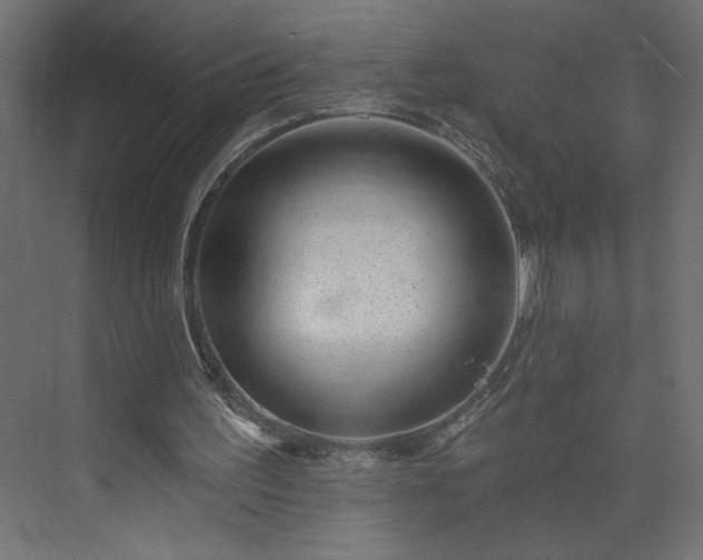 X0000073950195200608281224