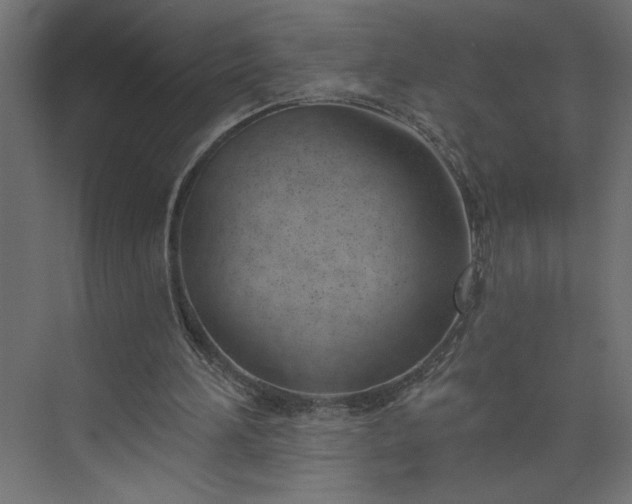 X0000073950196200608281224