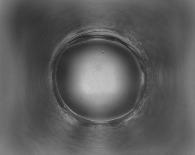 X0000073950197200608281224