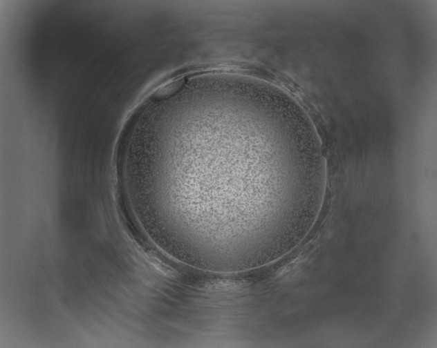 X0000073950198200608281224