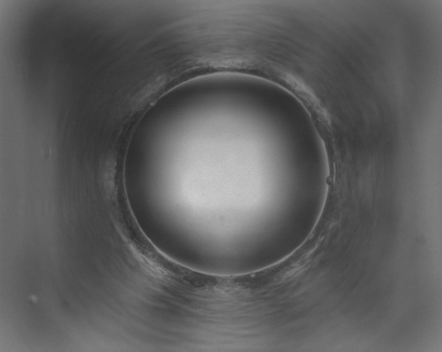 X0000073950201200608281224