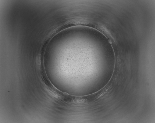 X0000073950202200608281224