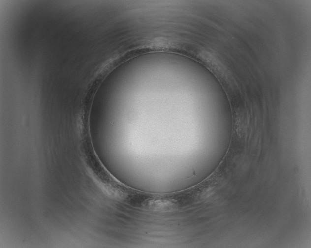 X0000073950208200608281224