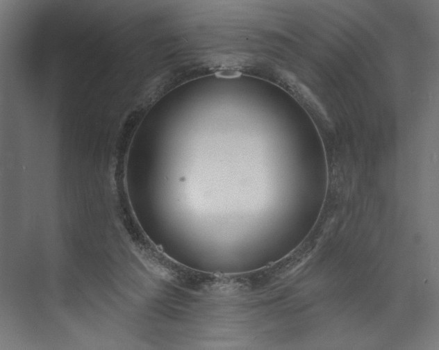 X0000073950209200608281224