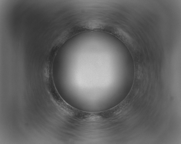 X0000073950210200608281224