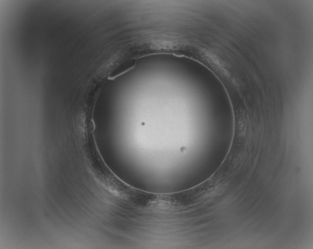 X0000073950211200608281224