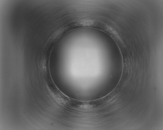 X0000073950212200608281224