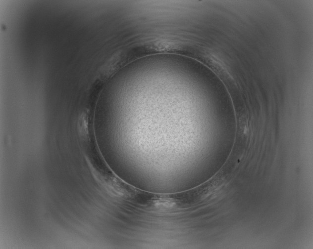 X0000073950214200608281223