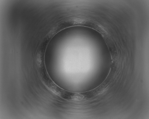 X0000073950215200608281223