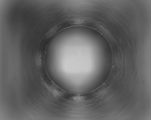 X0000073950216200608281223