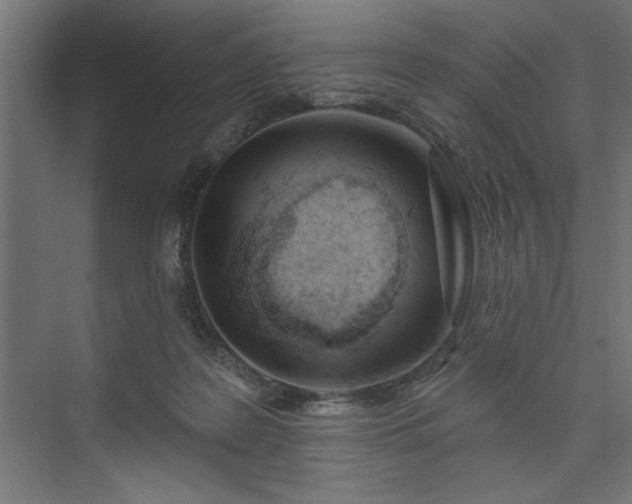 X0000073950219200608281223