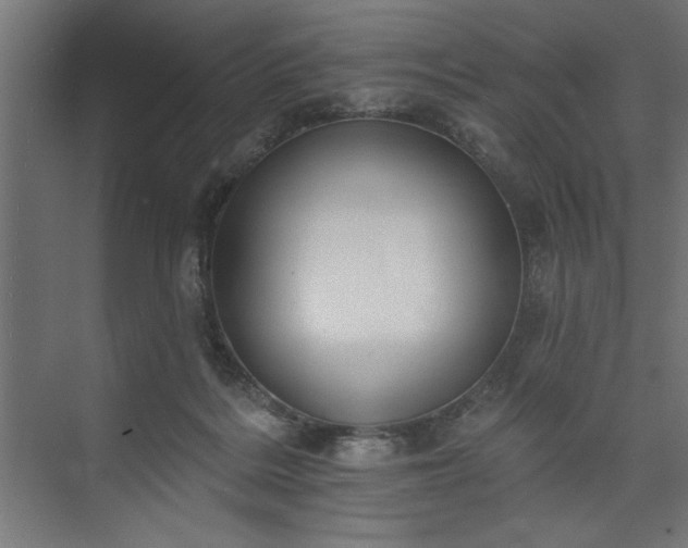 X0000073950220200608281223