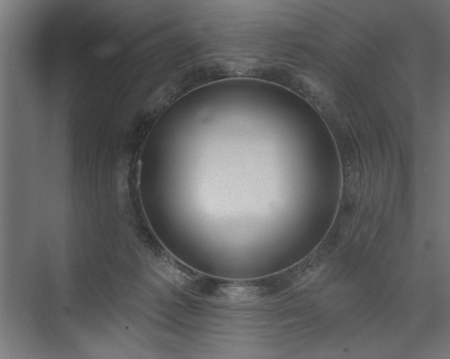 X0000073950221200608281223