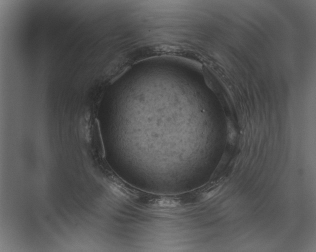 X0000073950223200608281223