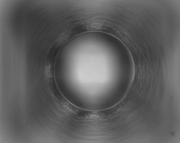 X0000073950224200608281223