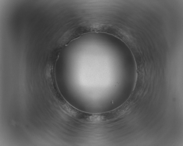 X0000073950225200608281223