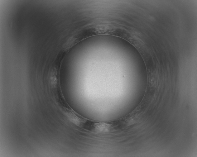 X0000073950226200608281223