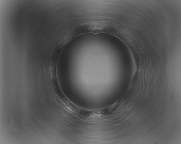 X0000073950227200608281223