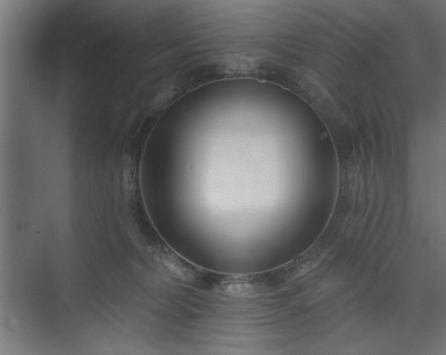 X0000073950228200608281223