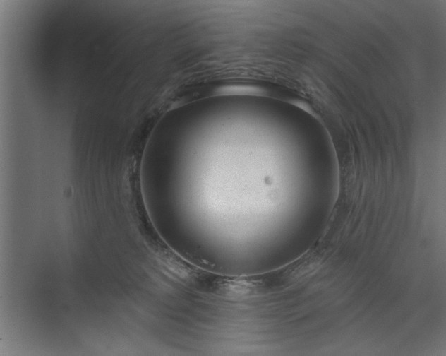 X0000073950229200608281223