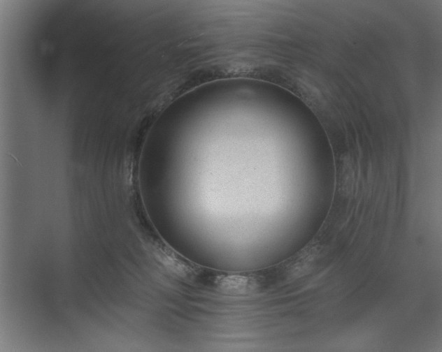 X0000073950230200608281223