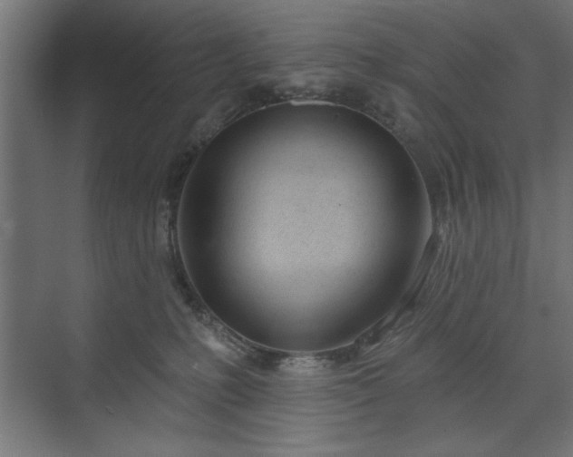 X0000073950231200608281223