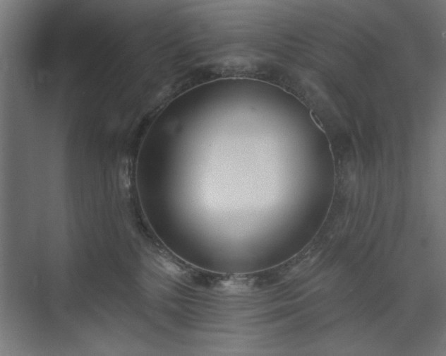 X0000073950232200608281223