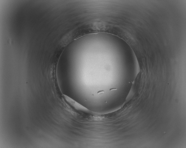 X0000073950233200608281223