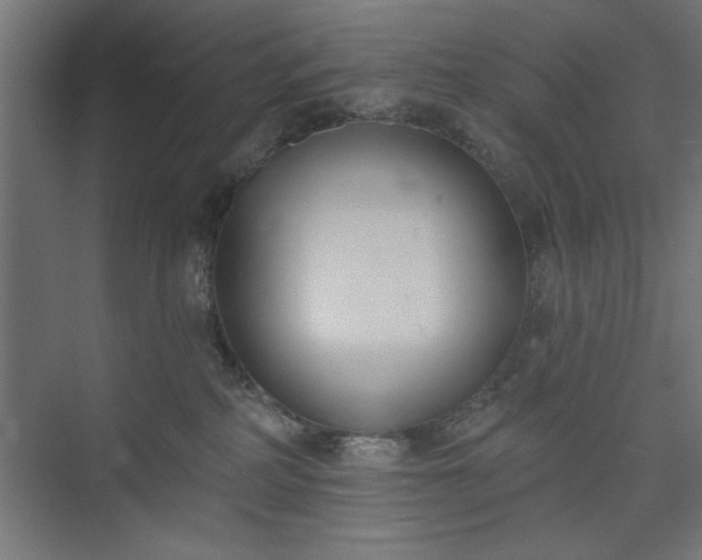 X0000073950234200608281223