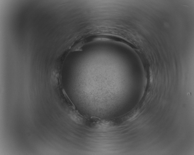 X0000073950235200608281223