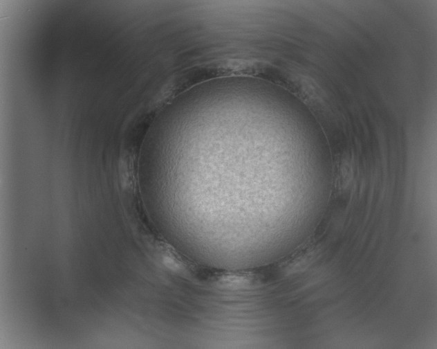 X0000073950236200608281223