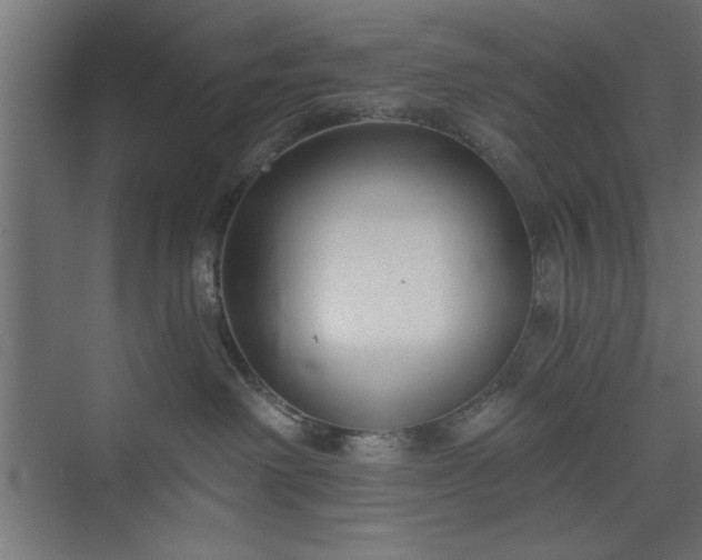 X0000073950238200608281223