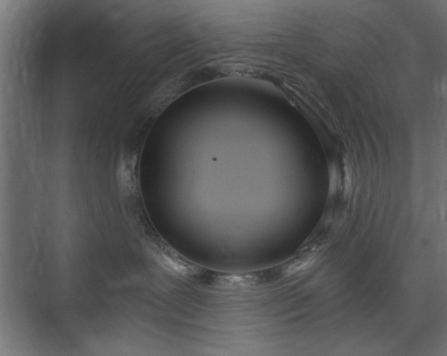 X0000073950239200608281223