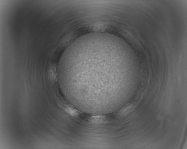 X0000073950240200608281223