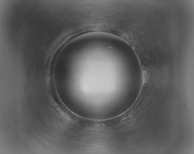 X0000073950243200608281222